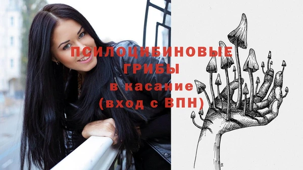крисы Куйбышев
