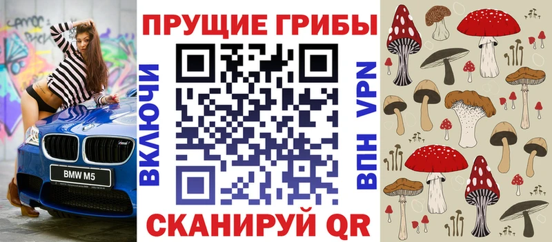 Псилоцибиновые грибы Cubensis  Сычёвка 